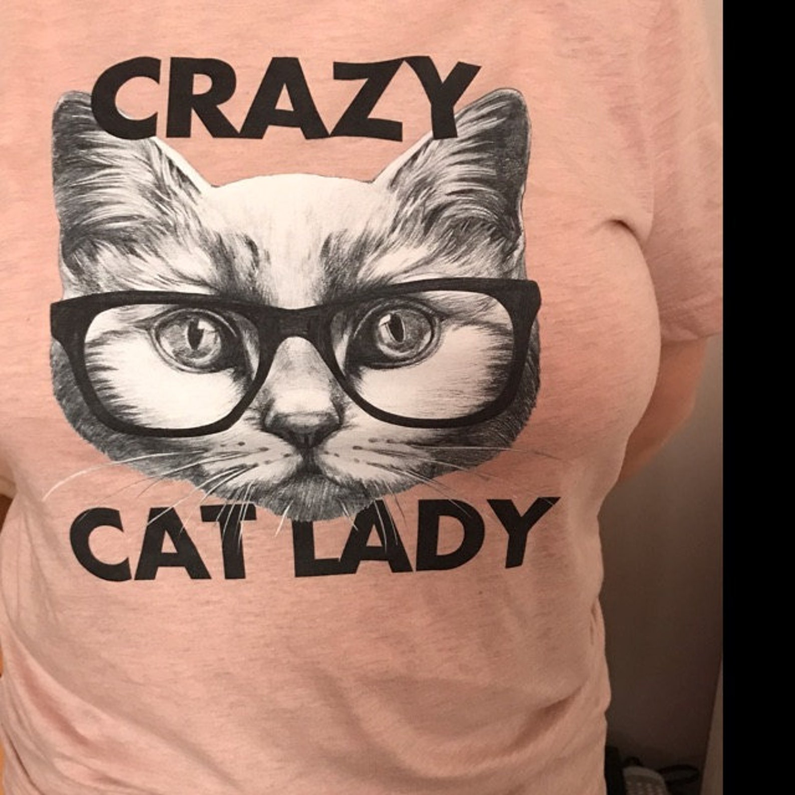 Funny Cat Shirt Crazy Cat Lady Cat Rescue Cat Shirt Cat T Etsy