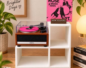 Mini Vinyl Record Shelf, 3D Printed Display Stand, Mini Record Player Organizer, Collectible Vinyl Storage, Miniature Music Shelf Decor