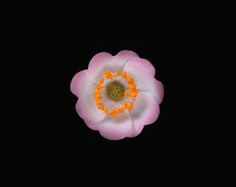Wild Rose (Briar Rose) Pin Brooch