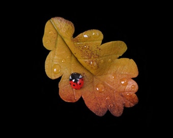 Yellow Oak Leaf & Ladybird Brooch