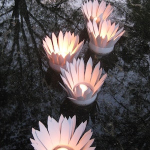 May include: Four white paper lotus flower lanterns float on a dark water surface with lit candles inside. The lanterns are made of paper and have a delicate, intricate design.