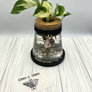 Propagation Vase| Hydroponic Plant Holder|Bamboo|alternative home decor|Plant Propagation Vase|Goth Flower Vase|Goth home decor