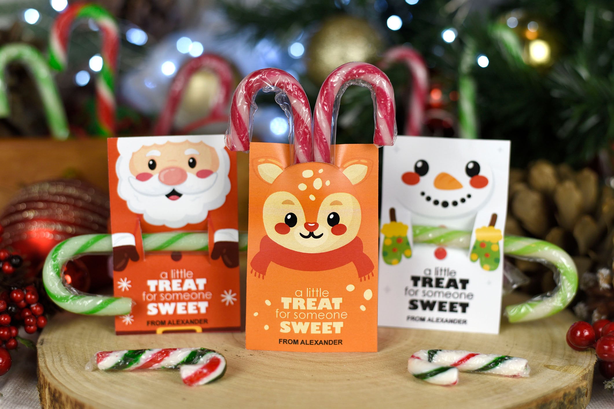 Printable Christmas Candy Cane Holder: Classroom Gift Tag (PDF) - Etsy