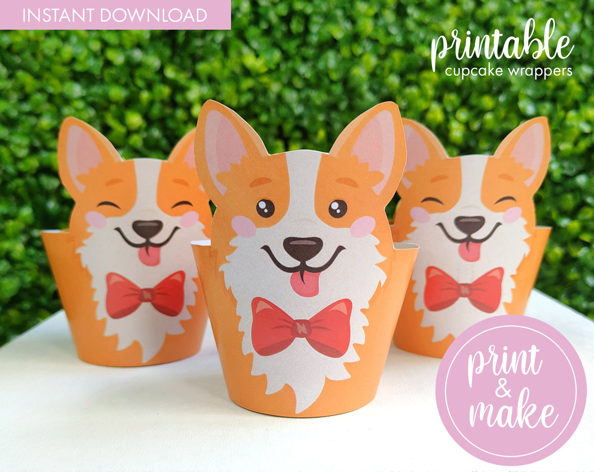 Corgi cupcakes discount