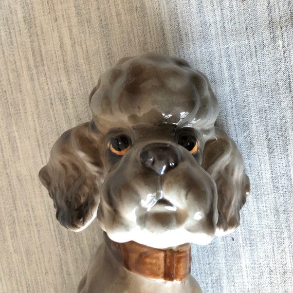 Poodle kennel cheap club