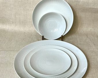 Romance by Rosenthal 5 piece Place Setting