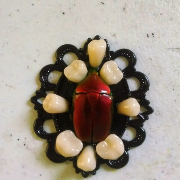 Toothy Roses~ Red beetle necklace- real taxidermy beetle bug insect and denture teeth framed bug necklace