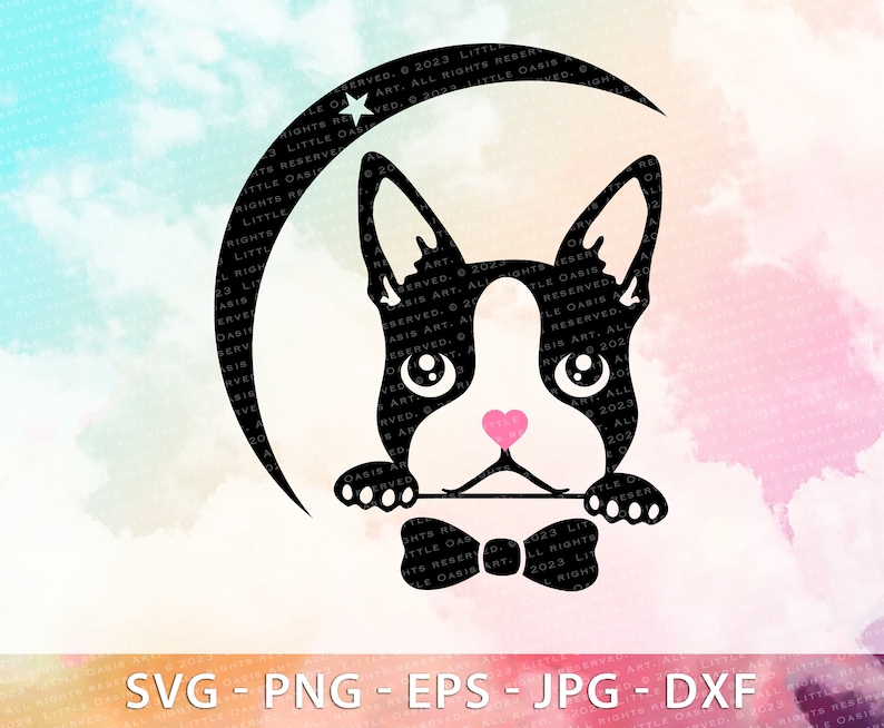 Cute Boston Terrier Svg, Dog Svg File for Cricut, Funny Dog Face, Head