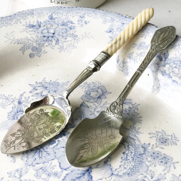 A pair of pretty antique preserve spoons