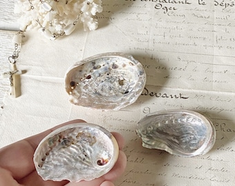 A collection of tiny vintage Abalone Mother of Pearl shells
