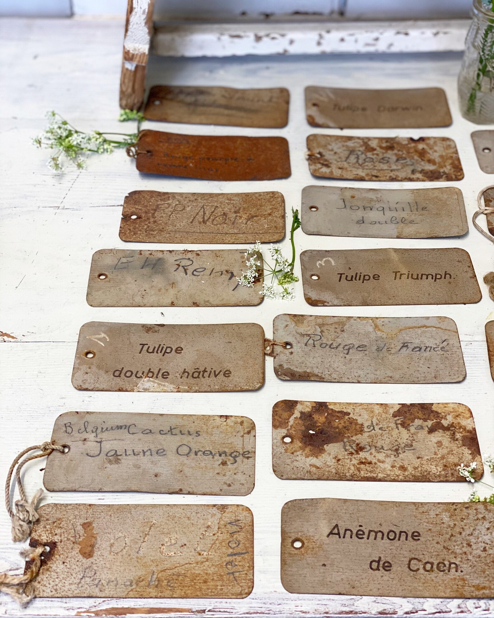 Three vintage French metal Rose/plant labels Etsy