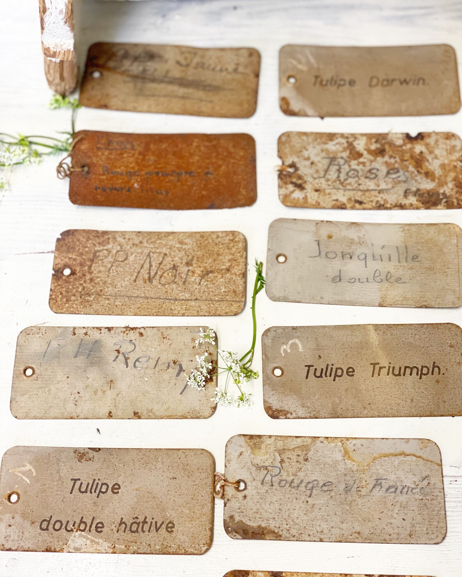 Three vintage French metal Rose/plant labels Etsy