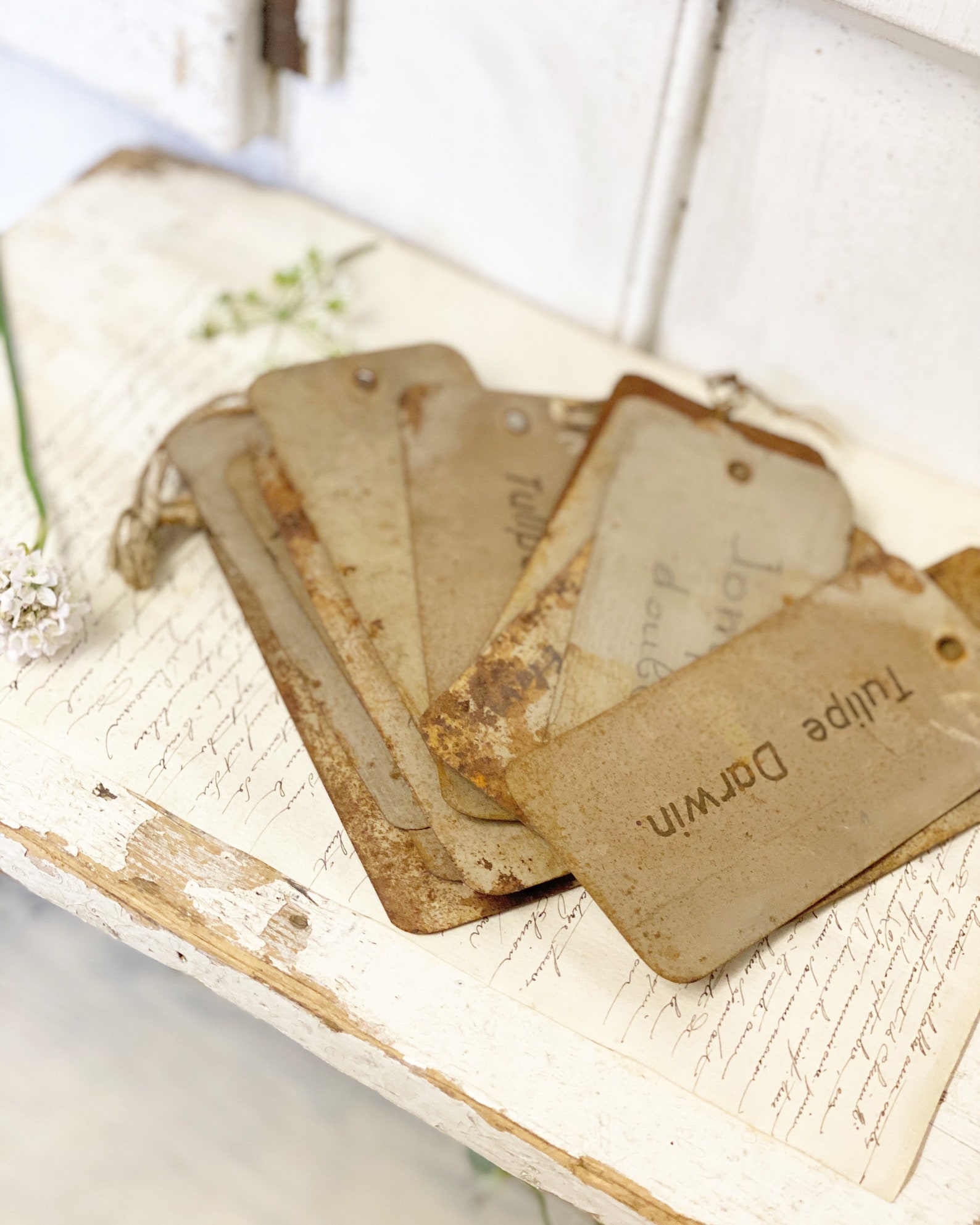 Three vintage French metal Rose/plant labels Etsy