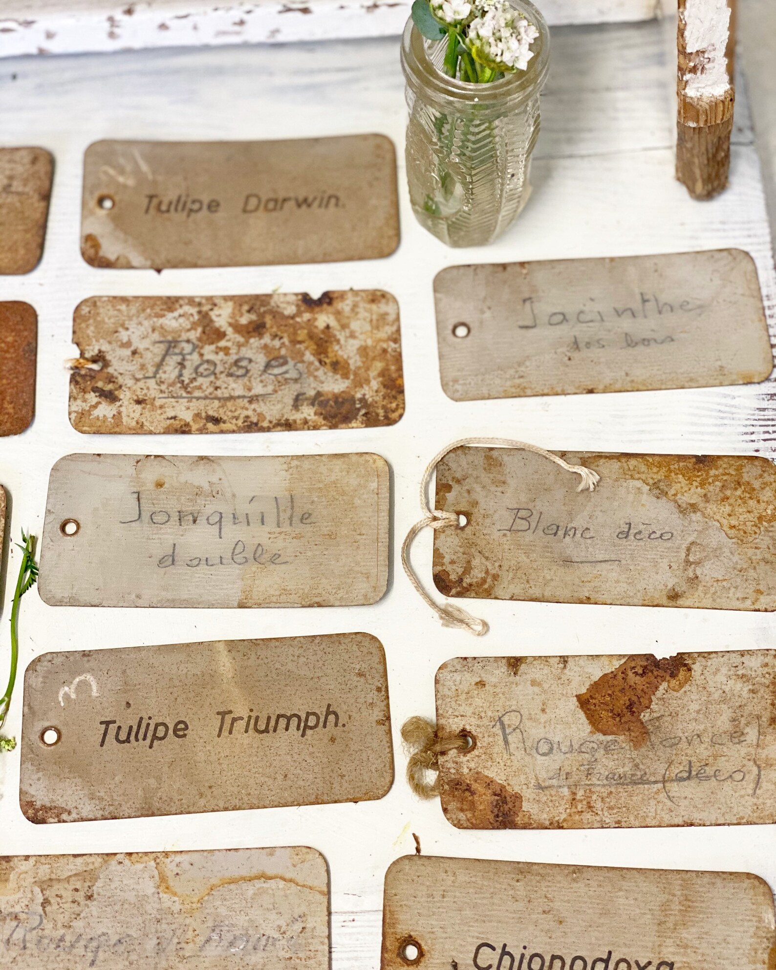 Three vintage French metal Rose/plant labels Etsy