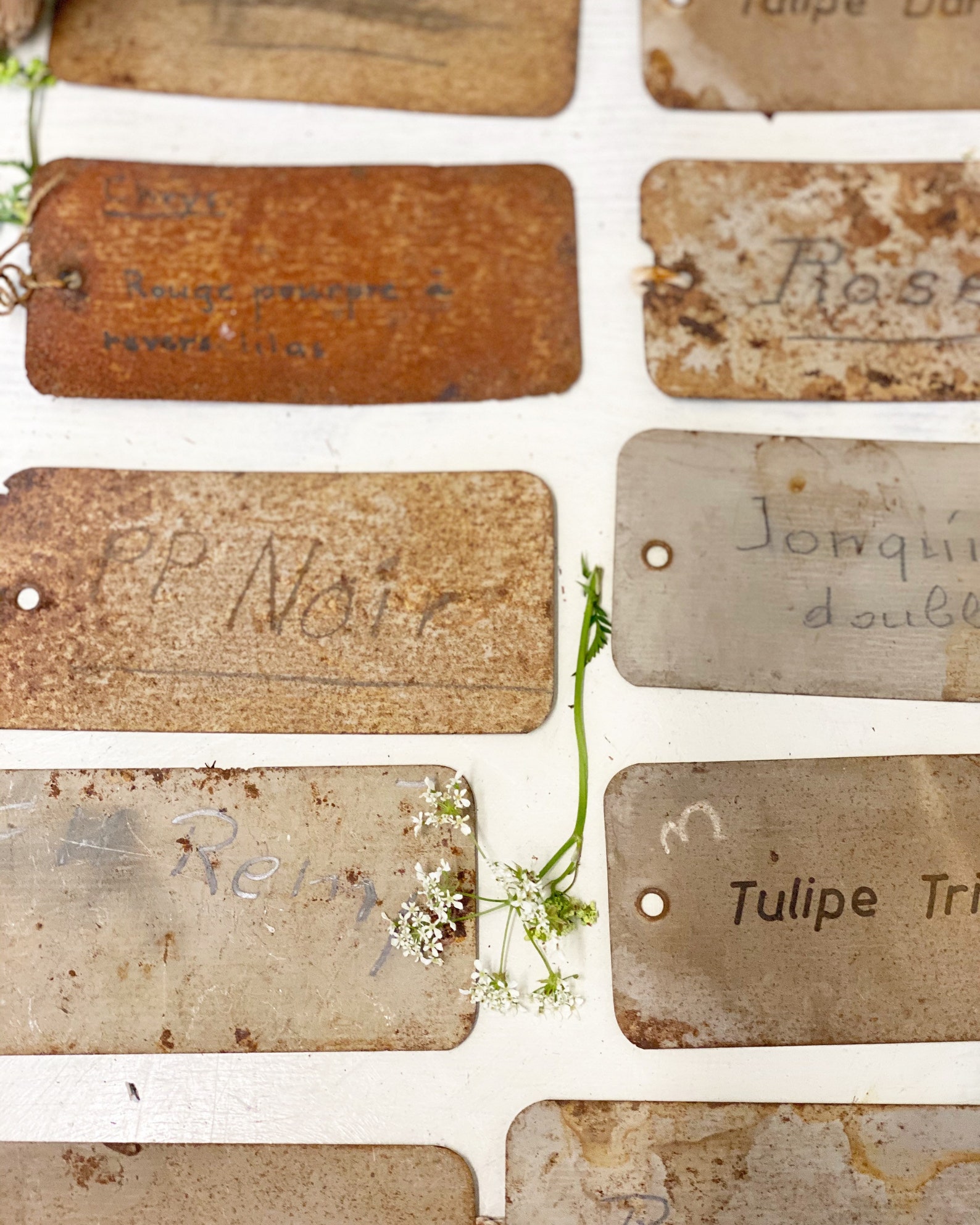 Three vintage French metal Rose/plant labels Etsy