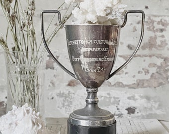 A vintage silver plated trophy cup and plinth