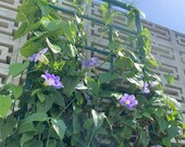 Classic Metal Garden Trellis, Aluminum, Handmade, 65 quot x 27 quot , gardening, grow flowering vines, wall mount or stakes, planter not included