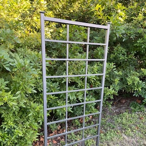 Garden Trellis, Classic Style, 65&quot; x 27&quot;, Metal Garden Trellis, Plant Trellis, Rust Free, Handcrafted, for jasmine, roses, lightweight