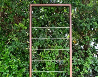 Clean and Modern Trellis, Metal Frame, Stainless Steel Wire, Wall Mount or Staked, Aluminum Frame, Garden, Lightweight, Handmade, 60" x 22"