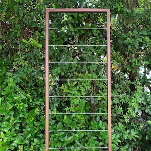 Clean and Modern Trellis, Metal Frame, Stainless Steel Wire, Wall Mount or Staked, Aluminum Frame, Garden, Lightweight, Handmade, 60&quot; x 22&quot;