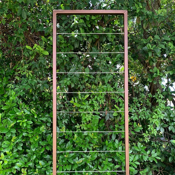 Clean and Modern Trellis, Metal Frame, Stainless Steel Wire, Wall Mount or Staked, Aluminum Frame, Garden, Lightweight, Handmade, 60" x 22"