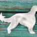 see more listings in the Dog, Cat Lovers Holidays section