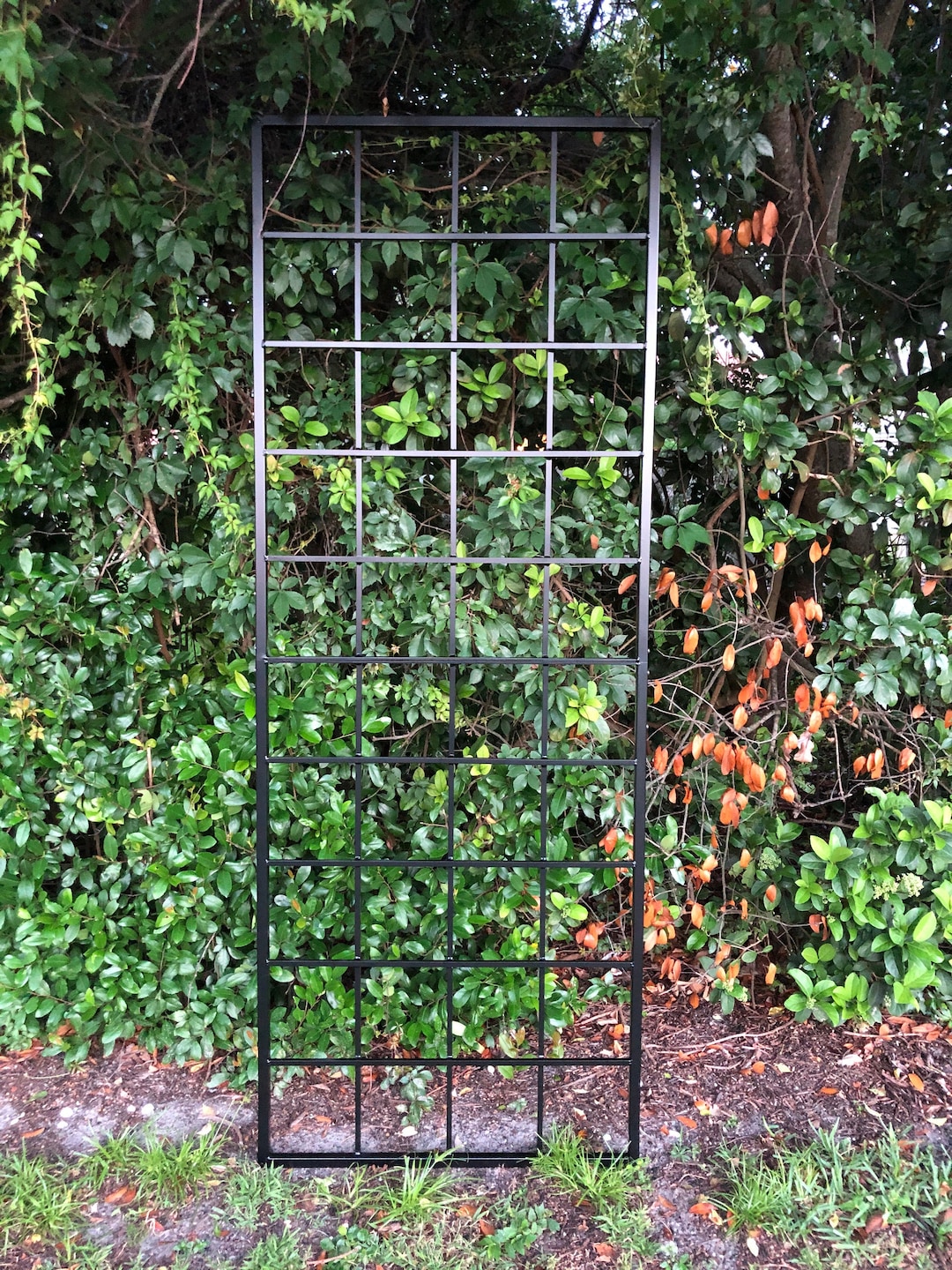 Large Multi Sizes, Classic Metal Garden Outdoor Trellis, Wall Mounted