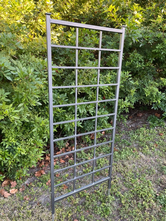Free Standing Climbing Rose Trellis ubicaciondepersonas.cdmx.gob.mx