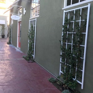Peut inclure: Un b&acirc;timent vert avec deux fen&ecirc;tres et un treillis blanc avec des vignes vertes qui poussent dessus. Le b&acirc;timent a une enseigne qui dit "Vinyasa Dance".