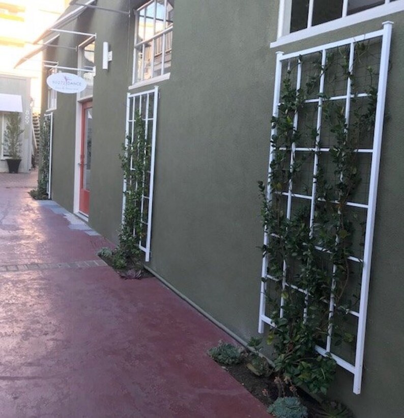 Peut inclure: Un b&acirc;timent vert avec deux fen&ecirc;tres et un treillis blanc avec des vignes vertes qui poussent dessus. Le b&acirc;timent a une enseigne qui dit "Vinyasa Dance".