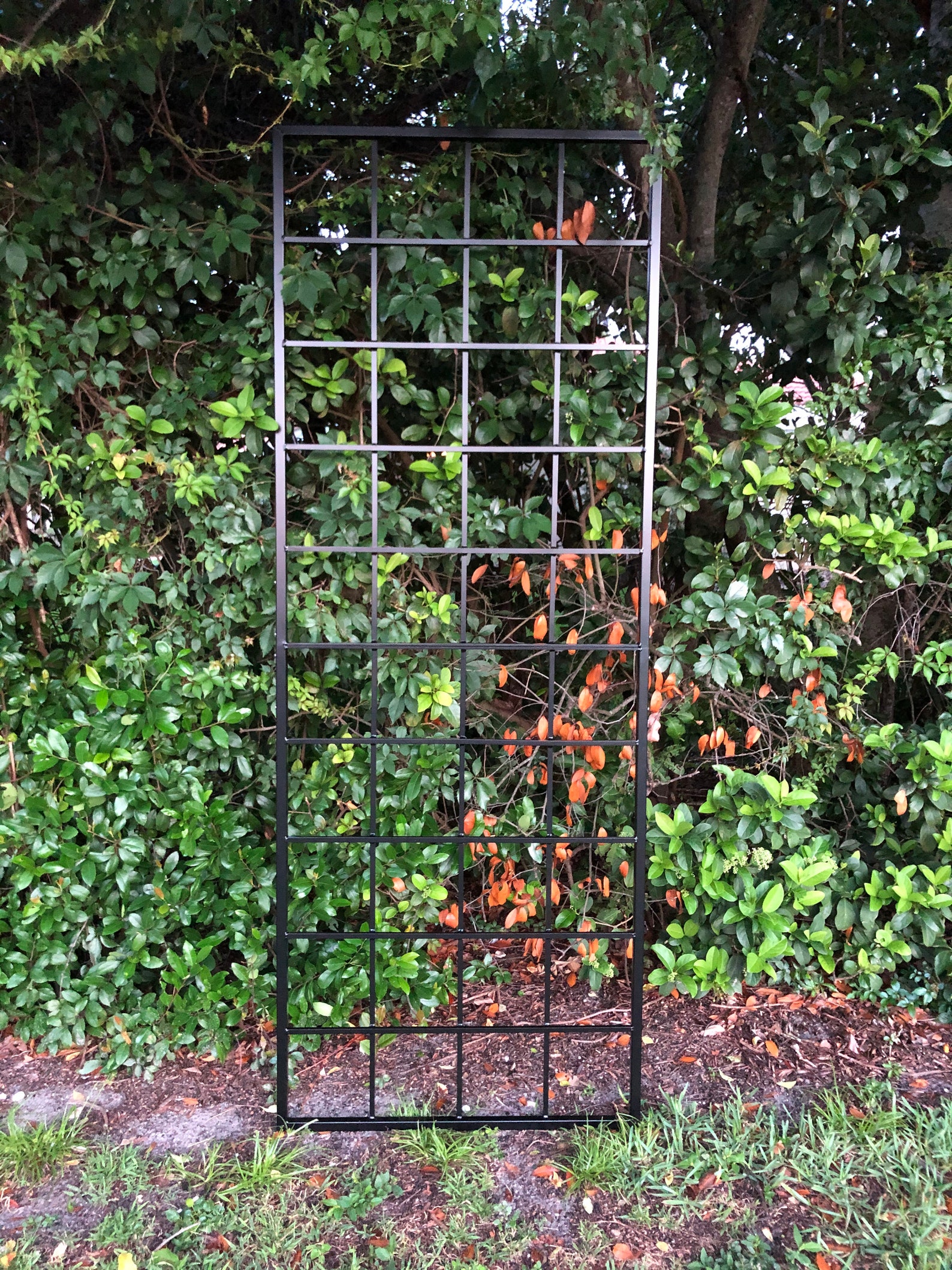 Large Multi Sizes Classic Metal Garden Outdoor Trellis Wall - Etsy