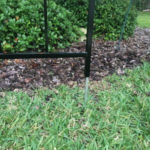 May include: A black metal garden trellis with a square design. The trellis is anchored to the ground with a metal stake.