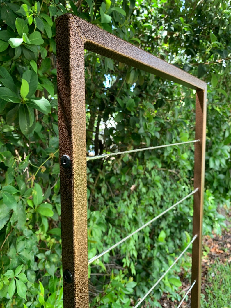 Clean and Modern Trellis, Metal Frame, Stainless Steel Wire, Wall Mount or Staked, Aluminum Frame, Garden, Lightweight, Handmade, 60 x 22 image 2