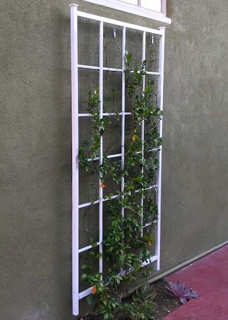 Peut inclure: Un treillis en m&eacute;tal blanc avec une vigne verte qui pousse dessus. Le treillis est fix&eacute; &agrave; un mur blanc. La vigne a de petites feuilles vertes et des fleurs jaunes.
