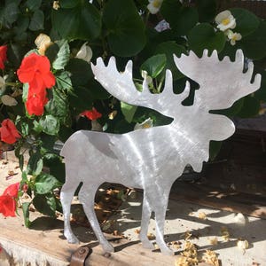 May include: A silver metal moose silhouette with large antlers. The moose is standing on a wooden surface with a white fabric background.