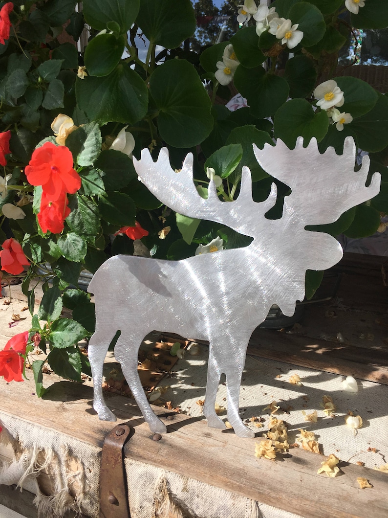 May include: A silver metal moose silhouette with large antlers. The moose is standing on a wooden surface with a white fabric background.