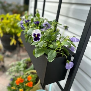 May include: A black metal plant stand with a trellis design holds a black planter box filled with purple and white pansies. The stand is placed against a white siding wall.