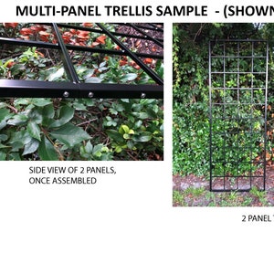 Garden Gate Style, Metal Scroll Garden Trellis, 6ft high x 4ft wide, Large, Classic, Wall Mounted or Staked, rust fee, Outdoor Metal Trellis image 7