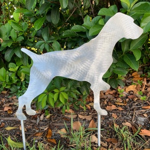 May include: A metal dog silhouette garden stake. The dog is made of brushed silver metal and is standing in a grassy area with green foliage in the background. The dog has two metal stakes attached to its legs.