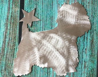 May include: Metal silhouette of a dog with a star on top. The silhouette is painted in a silver color with a brushed finish. The background is a teal blue wooden surface.