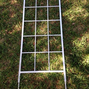 May include: White metal trellis with a square grid pattern and pointed stakes at the bottom. The trellis is standing upright on a grassy surface.