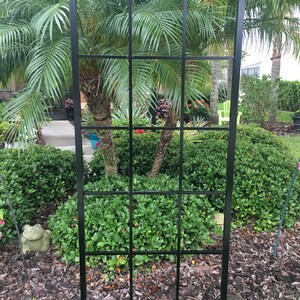 Peut inclure: Treillis de jardin en m&eacute;tal noir avec une grille carr&eacute;e. Le treillis est plac&eacute; dans un jardin avec des plantes vertes et du paillis brun.