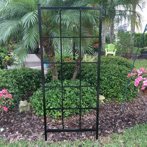 May include: Black metal garden trellis with a square grid pattern. The trellis is standing in a garden setting with green grass and brown mulch.