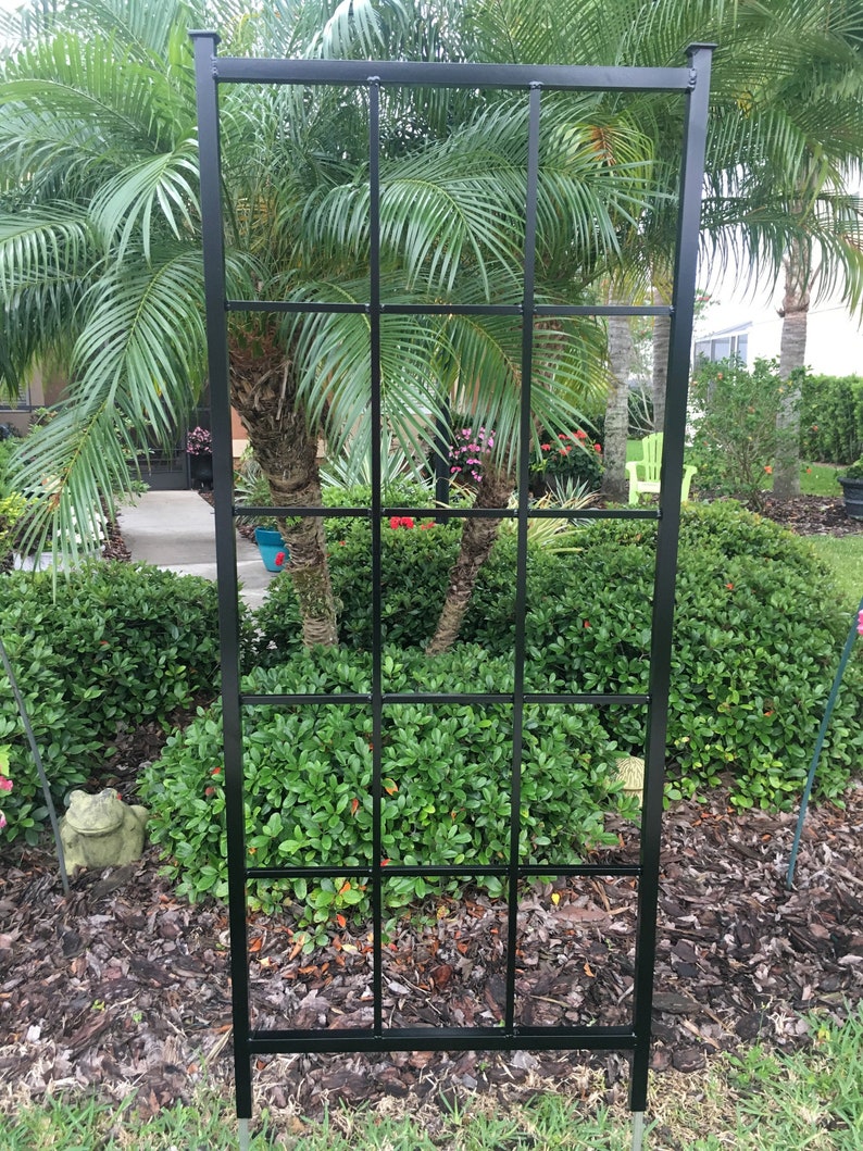 May include: Black metal garden trellis with a square grid pattern. The trellis is standing in a garden setting with green plants and brown mulch.