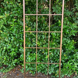 May include: A copper-coloured metal trellis with a square grid pattern. The trellis is standing upright in front of a green bush.