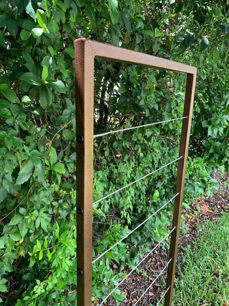 Clean and Modern Trellis, Metal Frame, Stainless Steel Wire, Wall Mount or Staked, Aluminum Frame, Garden, Lightweight, Handmade, 60 x 22 image 7