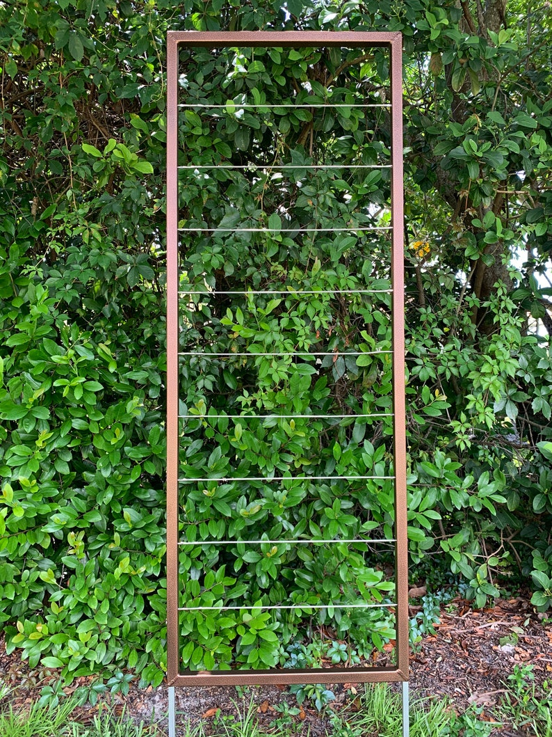 Clean and Modern Trellis, Metal Frame, Stainless Steel Wire, Wall Mount or Staked, Aluminum Frame, Garden, Lightweight, Handmade, 60 x 22 image 1