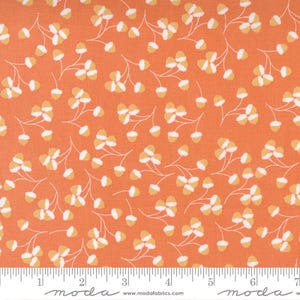 Cozy Up, Corey Yoder, Cotton Fabric, 29123 12