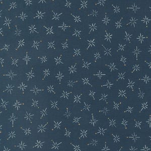 Longshore, Janet Clare, Cotton Fabric, Half Yard, 24614 22