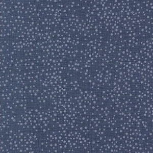 Dotty Thatched, Robin Pickens, Cotton Fabric, Half Yard, 48715 94